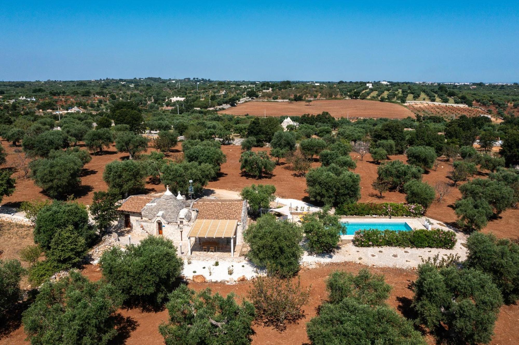Trullo Fantastico Villa Castellana Grotte Dış mekan fotoğraf